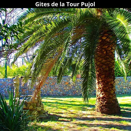Les De La Tour Pujol * Аржель-сюр-Мер