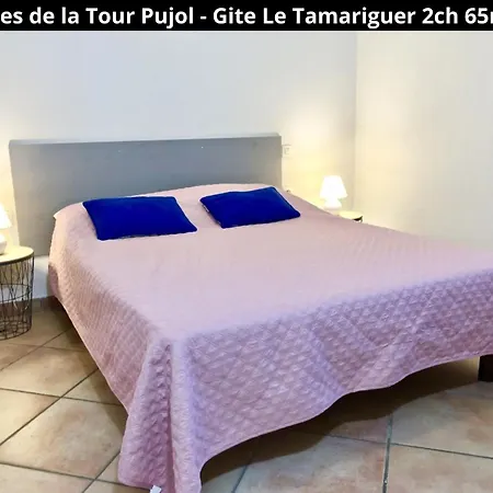 Дом отдыха Les De La Tour Pujol *
