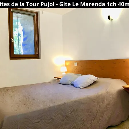 Prázdninový dům Les De La Tour Pujol *