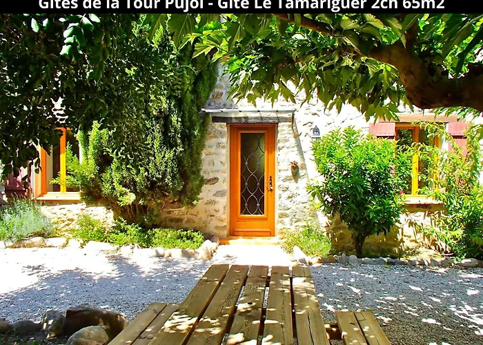 Holiday home Les Gites De La Tour Pujol