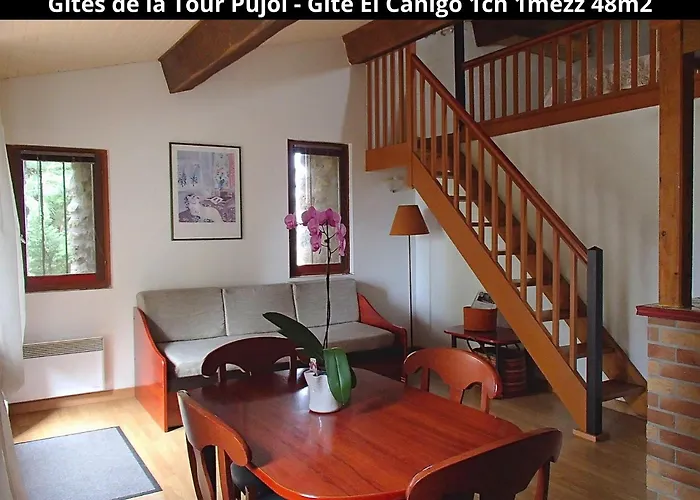 Les Gites De La Tour Pujol Holiday home