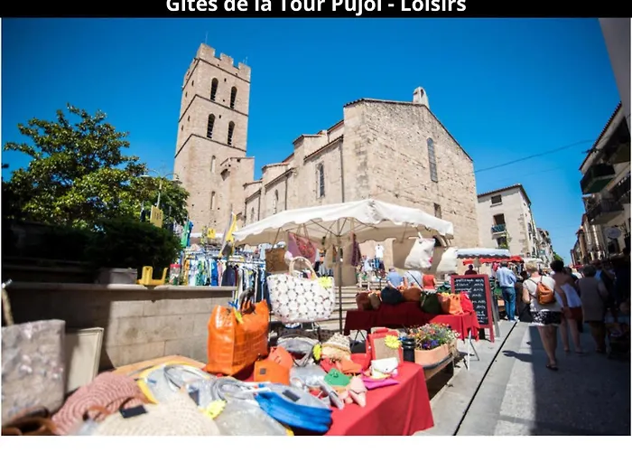 Les Gites De La Tour Pujol Holiday home