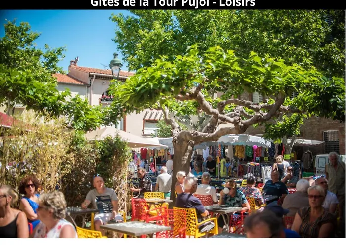 Les Gites De La Tour Pujol *