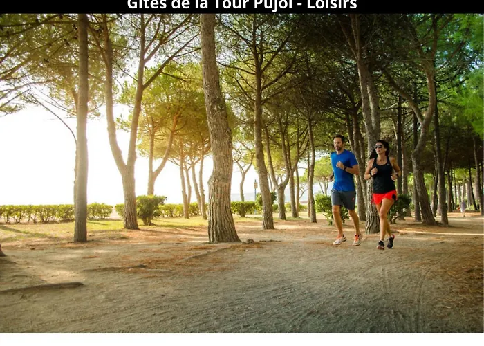 Les Gites De La Tour Pujol