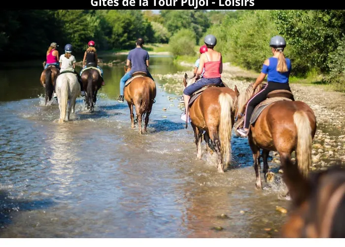Les Gites De La Tour Pujol Argeles-sur-Mer