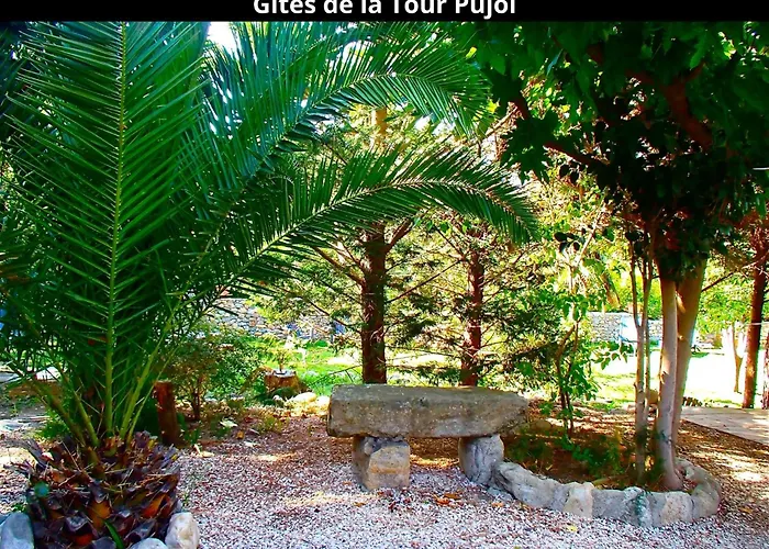 Holiday home Les Gites De La Tour Pujol *
