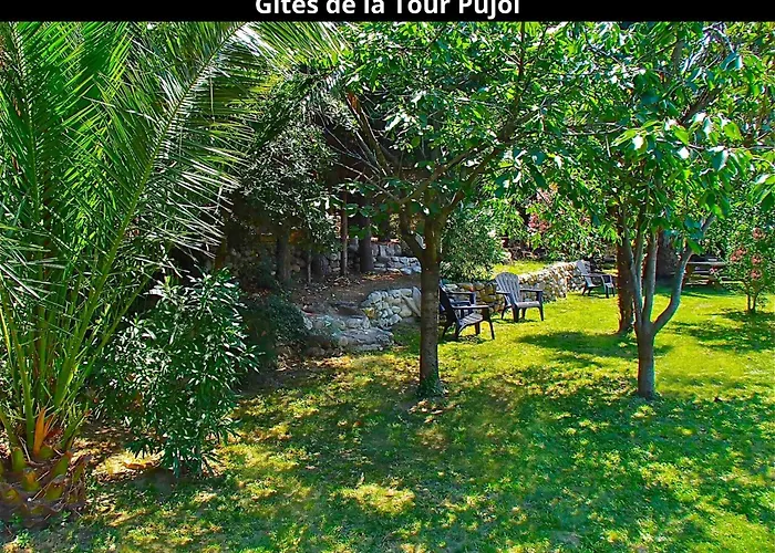 Les Gites De La Tour Pujol Holiday home