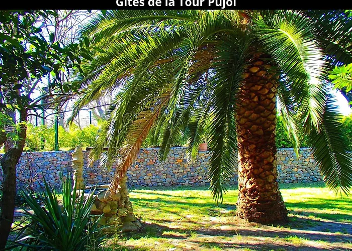 Les Gites De La Tour Pujol * Argeles-sur-Mer