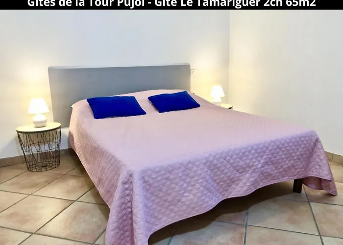 Holiday home Les Gites De La Tour Pujol *