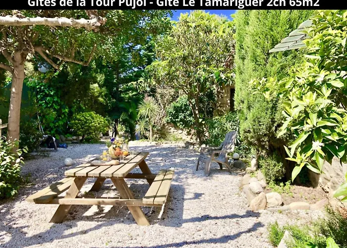 Les Gites De La Tour Pujol Holiday home