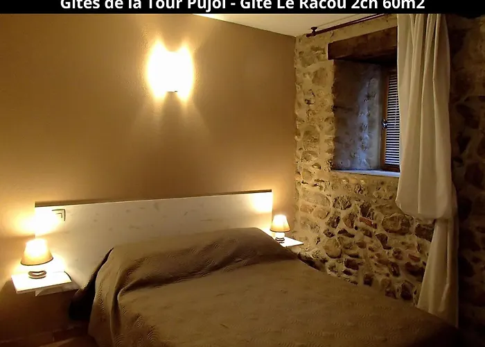 Holiday home Les Gites De La Tour Pujol *