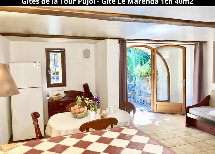 Les Gites De La Tour Pujol Holiday home