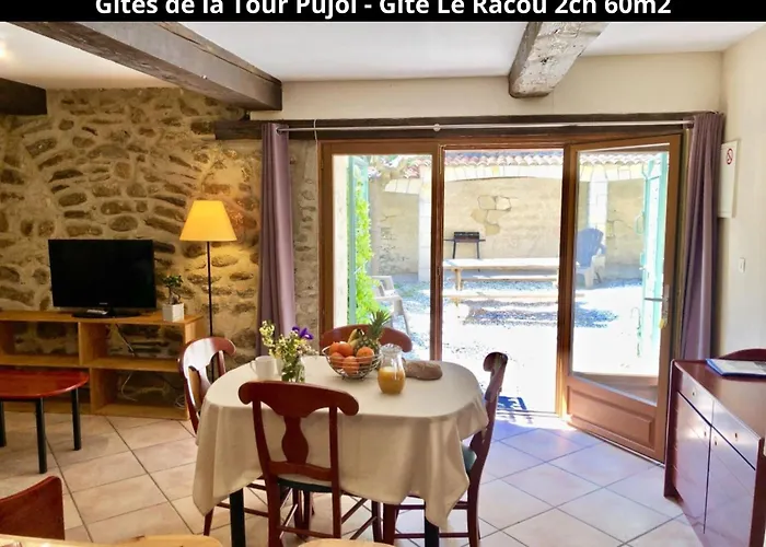Holiday home Les Gites De La Tour Pujol *