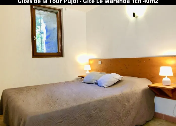 Holiday home Les Gites De La Tour Pujol *