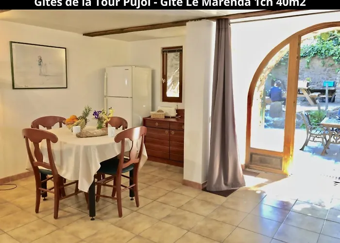 Les Gites De La Tour Pujol Holiday home