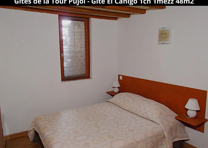 Holiday home Les Gites De La Tour Pujol