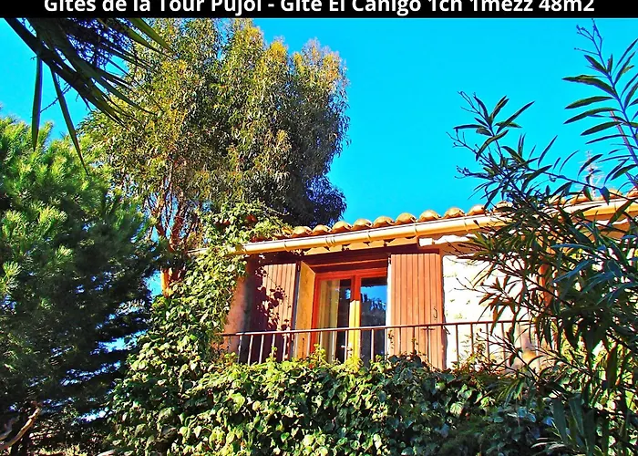 Holiday home Les Gites De La Tour Pujol